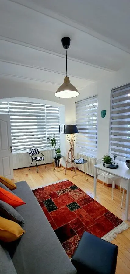 Alize Galata Appartement Istanboel